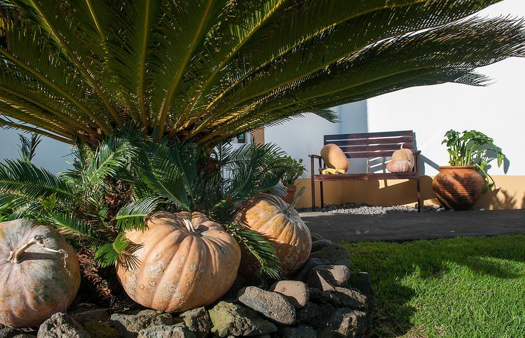 Vila Belgica Bed & Breakfast Horta  Exterior photo